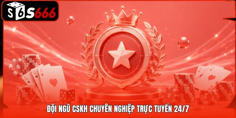 Đội ngũ CSKH chuyên nghiệp trực tuyến 24/7